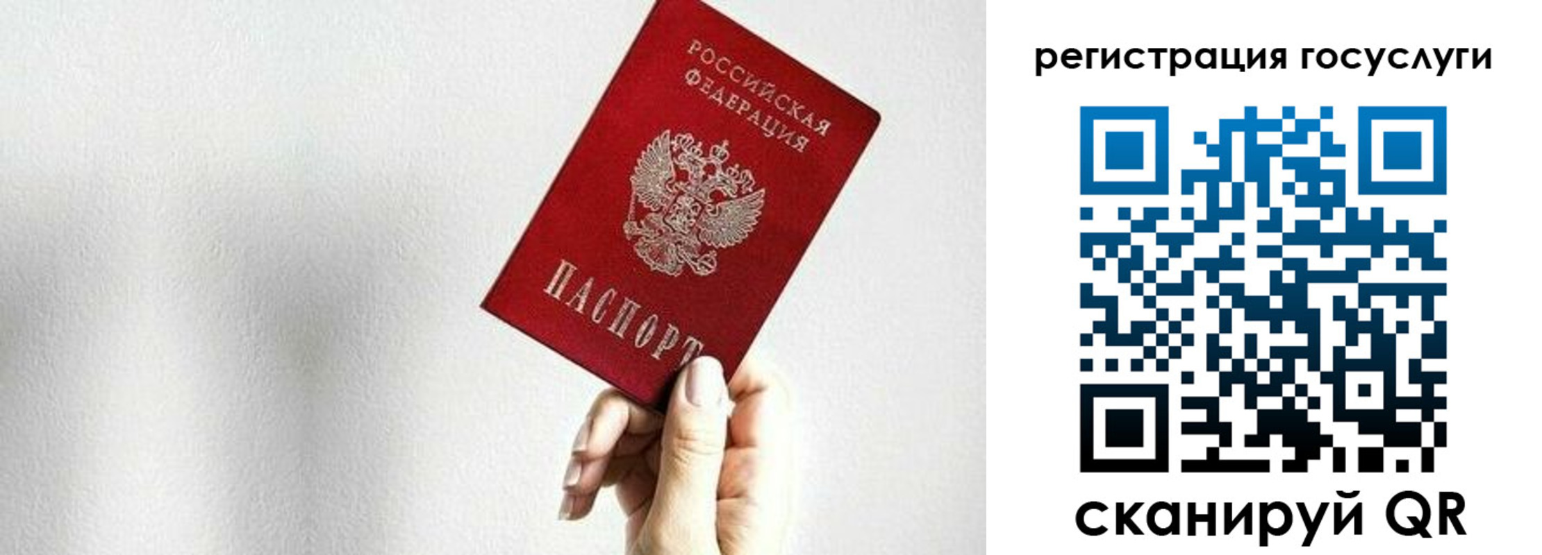 прописка гарантия в Могочи